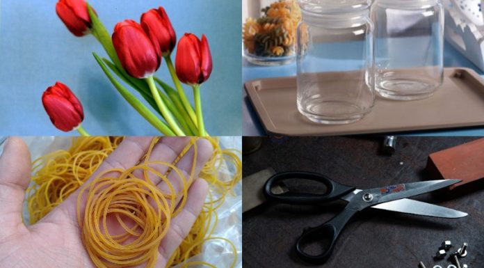 The Art of Arranging Tulips: A Simple Guide to an Elegant Display