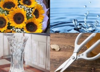 The Everlasting Sunflower: A Guide to Long-Lasting Blooms This Tet Holiday