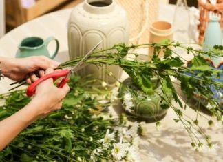 The Enchanting Daisy: A Guide to Creating Long-lasting, Elegant Arrangements