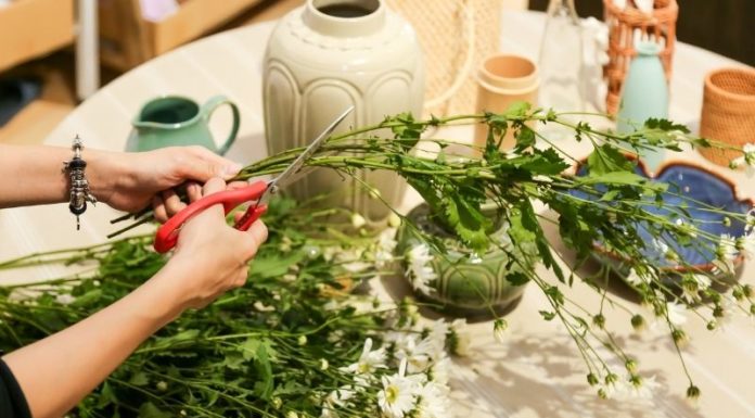 The Enchanting Daisy: A Guide to Creating Long-lasting, Elegant Arrangements
