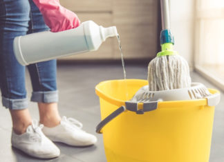 The Ultimate Guide to Choosing a Mosquito-Repellent Floor Cleaner