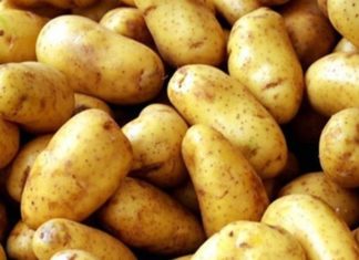 How to Choose Fresh and Nutritious Potatoes