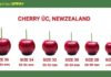 How to Determine Cherry Sizes – A Guide to Selecting the Tastiest Cherries