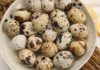 The Ultimate Guide to Selecting the Tastiest and Freshest Quail Eggs