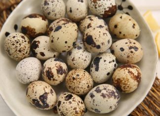 The Ultimate Guide to Selecting the Tastiest and Freshest Quail Eggs