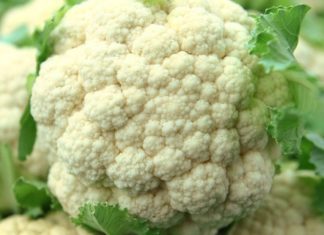 How to Select, Store, and Prepare Broccoli for Maximum Nutrition and Taste