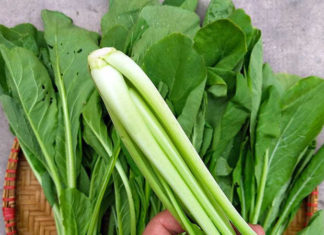 “The Ultimate Guide to Choosing Delicious and Safe Mustard Greens: Avoiding Chemical Treatments”