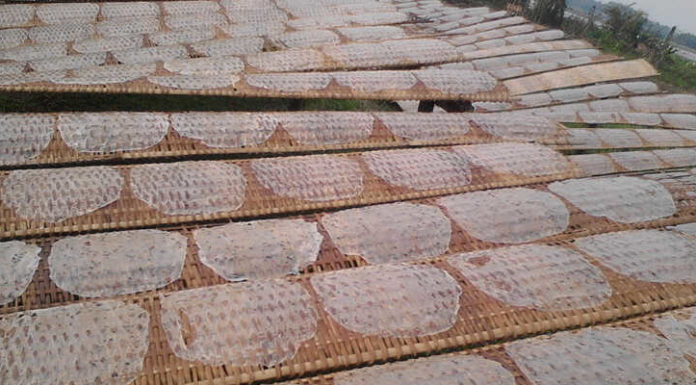 “The Ultimate Guide to Choosing the Perfect Rice Paper for Your Meat Rolls”