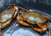 How to Choose the Tastiest, Meatiest Crab
