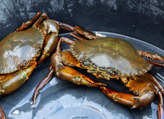 How to Choose the Tastiest, Meatiest Crab