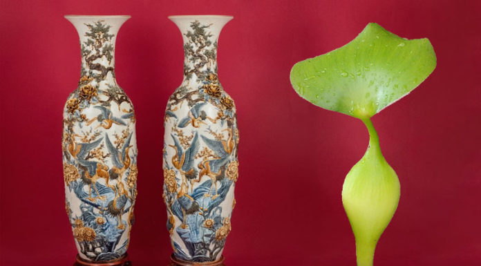 The Ultimate Guide to Choosing the Right Size Lucky Bamboo for Your Home: Harmonizing Your Space with Feng Shui