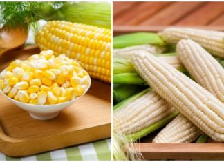 How to Choose the Perfect Ear of Corn: A Guide to Selecting Sweet, Tender Kernels Every Time