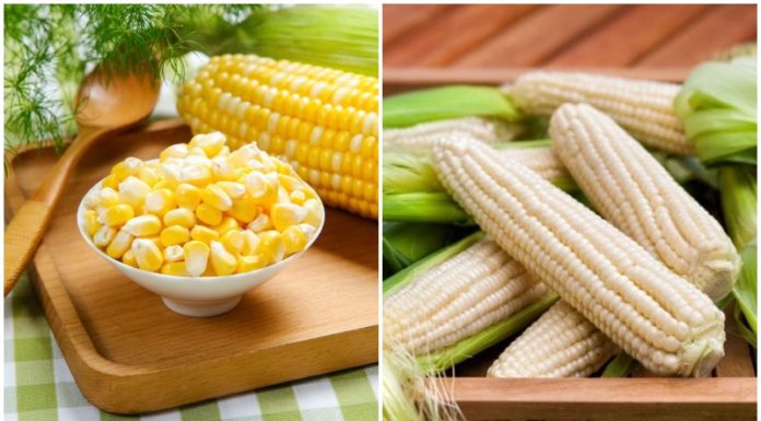How to Choose the Perfect Ear of Corn: A Guide to Selecting Sweet, Tender Kernels Every Time