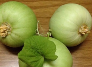 How to Select the Perfect Cantaloupe: A Guide to Choosing the Sweetest Melons from Vietnam and Korea