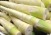 “The Ultimate Guide to Choosing Fresh Bamboo Shoots: Avoiding Chemical Soaking”