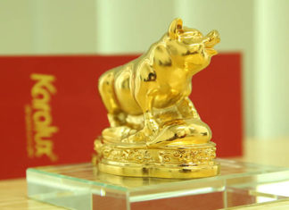 “Attracting Abundance: The Art of Choosing Feng Shui Pigs”