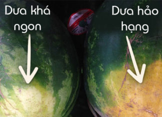 The Ultimate Guide to Choosing Fresh and Safe Fruits: A Tasty Adventure