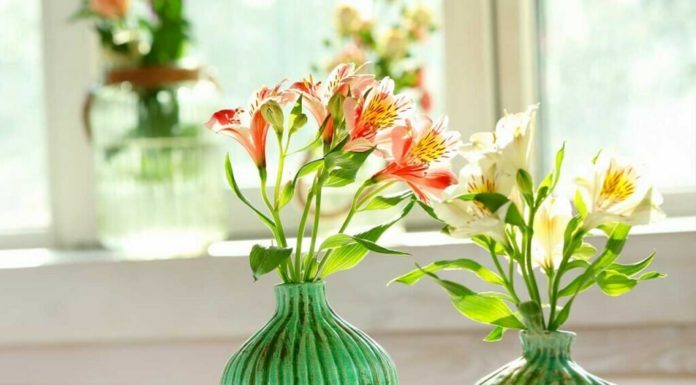 10 Creative Ways to Decorate Your Home for Tet: A Simple and Beautiful Guide