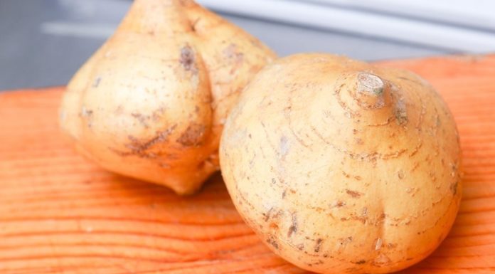 “The Ultimate Guide to Selecting, Preparing, and Cooking Taro”