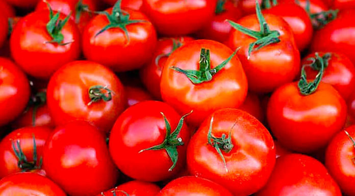 “Sunburn SOS: The Tomato Trick to Soothe Your Skin”