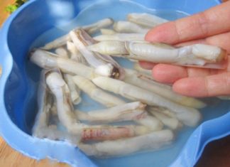 The Secret to Getting Snails to Purge Mud and Slime Before Cooking