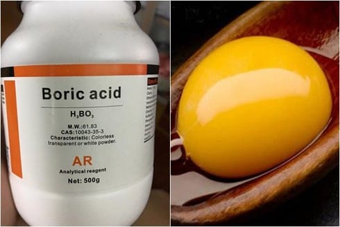 The Ultimate Guide to Getting Rid of Cockroaches Without Using Poison