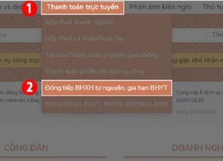 The Ultimate Guide to Online Social Insurance Enrollment and Health Insurance Renewal from the Comfort of Your Home via the National Public Service Portal
