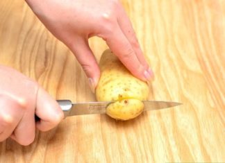 The Art of Knife Handling: A Guide to Safe and Efficient Cutting