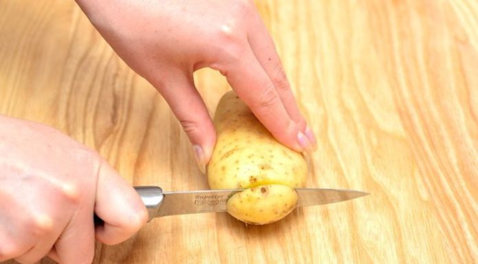 The Art of Knife Handling: A Guide to Safe and Efficient Cutting