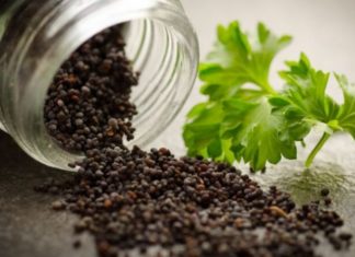 The Ultimate Ant-Free Home: Smart, Safe and Speedy Solutions.