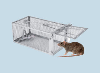 12 Surefire Ways to Get Rid of Mice in Your House or Dorm