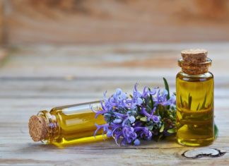 The Ultimate Guide to Get Rid of Flies in Your Restaurant: Quick, Effective, and Safe Solutions