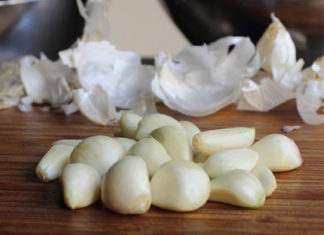 The Ultimate Guide to Getting Rid of Ants in Your Closet and Keeping Them Away for Good