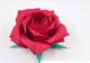 The Magic of Paper Folding: Creating an Origami Rose