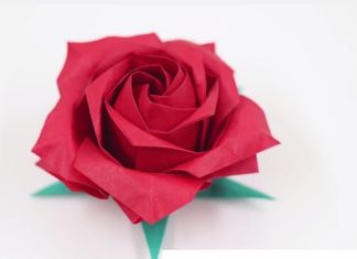 The Magic of Paper Folding: Creating an Origami Rose