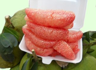 “The Ultimate Guide to Rapid Weight Loss: Secrets to a Slimmer You”