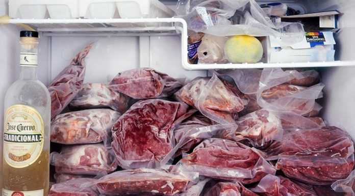 “Keep Your Food Fresh During the Summer Heat”