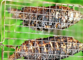 The Secret to Flaky, Bone-Free Croaker Fish: A Step-by-Step Guide to De-boning and De-scaling Like a Pro