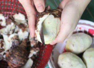 The Ultimate Guide to Peeling Potatoes: A Scratch-Free Experience