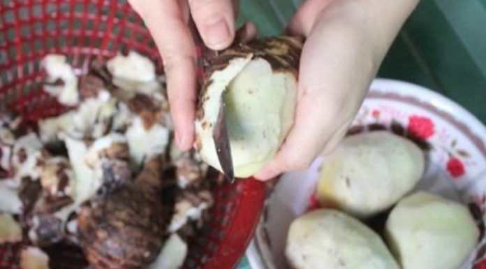 The Ultimate Guide to Peeling Potatoes: A Scratch-Free Experience