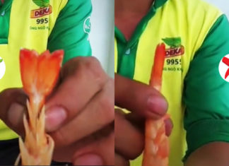 The Ultimate Guide to Identifying Fresh Shrimp: A Simple Trick to Tell if Your Shrimp is Really Fresh, Even After Cooking