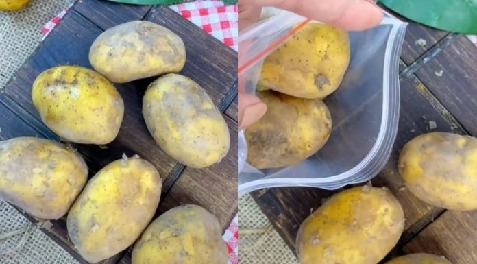 3 Vacuum Sealing Hacks to Keep Your Produce Fresh for a Week, No Machine Needed