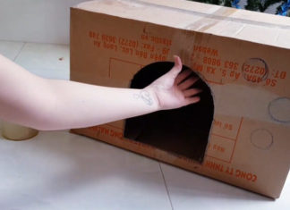 The Purrfect Cat Enclosure: A Step-by-Step Guide to Building a Cozy Cat Home