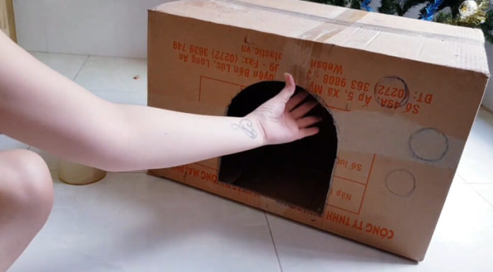 The Purrfect Cat Enclosure: A Step-by-Step Guide to Building a Cozy Cat Home