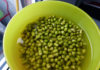 “Sprouting Mung Beans at Home: A Step-by-Step Guide to Using a Plastic Basket”