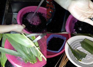 “The Ultimate Guide to Sprouting Black Beans at Home: A Chemical-Free Approach”