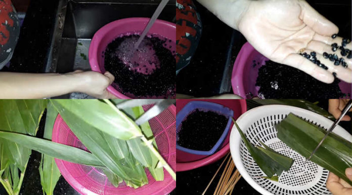 “The Ultimate Guide to Sprouting Black Beans at Home: A Chemical-Free Approach”