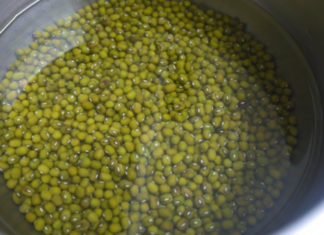 How to Grow Bean Sprouts at Home: A Step-by-Step Guide to Thick, Juicy, and Sanitary Sprouts