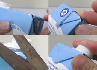 The Ultimate Guide to Sprouting Beans: Achieving Perfect White, Crisp Bean Sprouts with Short Roots Using a Milk Carton