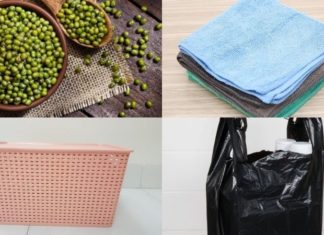 The Magic of Sprouting: Grow Your Own Bean Sprouts in Just 2 Days Without Any Watering!